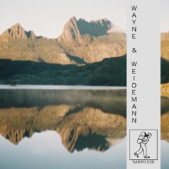 WAYNE & WEIDEMANN - SANPO 038 - AUS MIX