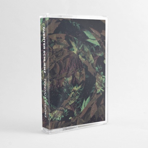 Guenter Schlienz - Sunday Morning Cake