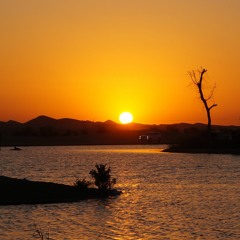Qudra After Dusk