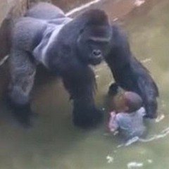 Babies first day at the Zoo - EPS9