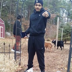 panda 420