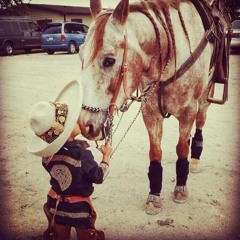 JAYY R (BANDA SAN JOSE - EL COYOTE CORRIDOS )