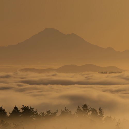 Segue ~ Sunshine Coast [SSCD20]
