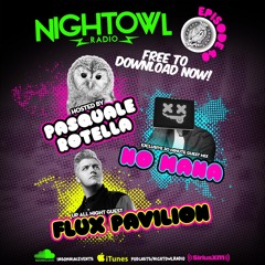 Night Owl Radio 040 ft. Flux Pavilion and No Mana