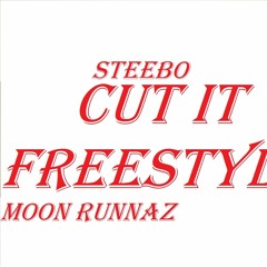 STEEBO - Cut It(Freestyle)