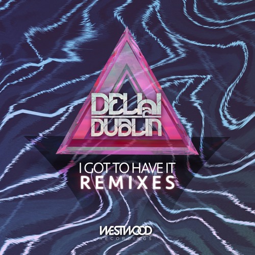 Delhi 2 Dublin - I Got To Have It (Odjbox Remix)