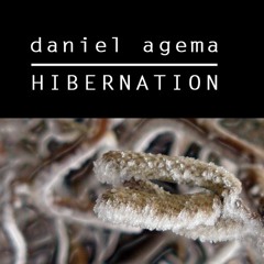 Daniel Agema - Hibernation