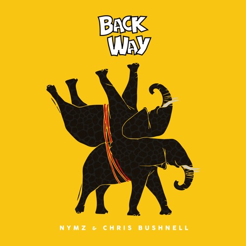 NYMZ & Chris Bushnell - Back Way