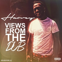 Harvey-Views From the Dub