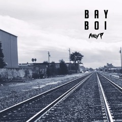 Bay Boi - Andy P
