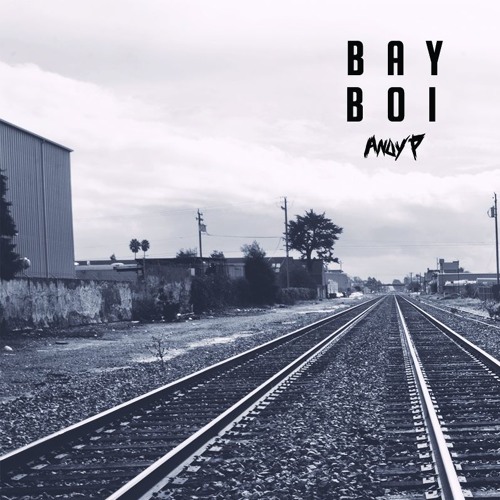 Bay Boi - Andy P