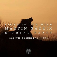 Martin Garrix & Third Party - Lions in the Wild (OSSIVM Orchestral Intro) *Played by TheWhitePanda*