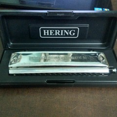 Pyar manga hai tumhi se-Harmonica