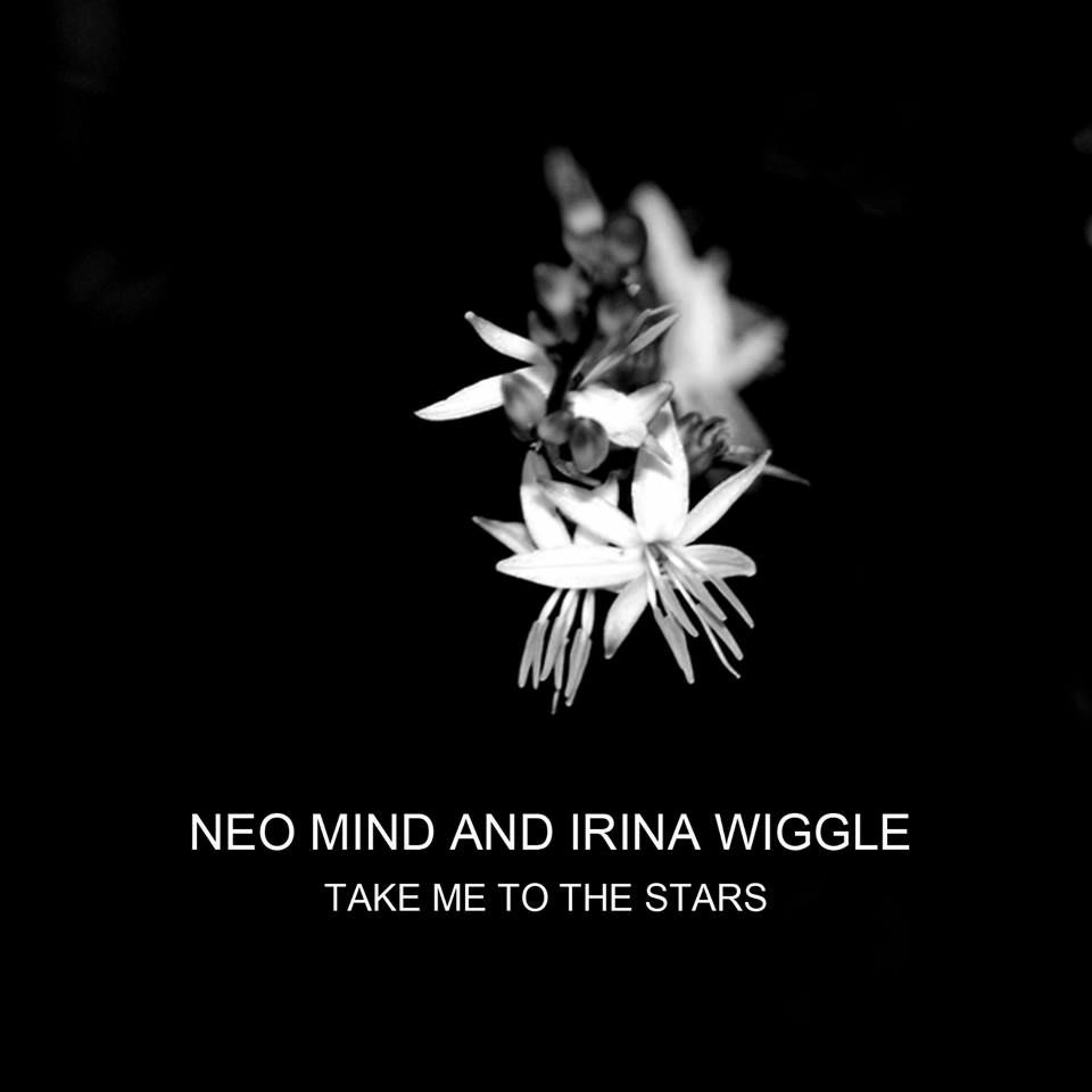 Neo Mind & Irina Wiggle - Take Me To The Stars