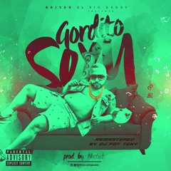 Briyan El Big Daddy - Gordito Sexy (Dj Fat Tony's Fat Boy Simple Intro Outro Rework)