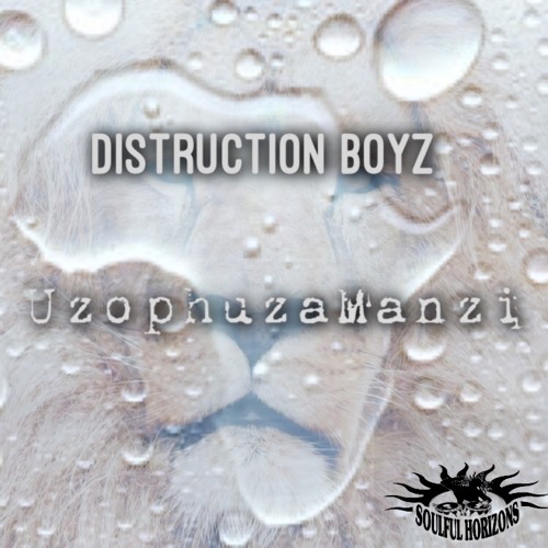 Distruction Boyz - Dance Up (Original Mix)