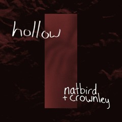 Hollow (ft. Crownley)