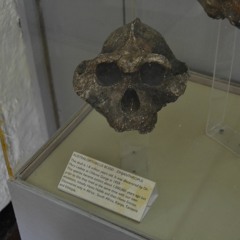 I Got Chills, They're Multiplying