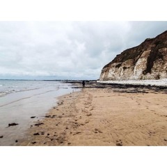 Run - BMTH || a #SoundSketch Cover by Jodie