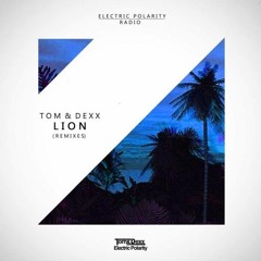 Lion (Marc Sala Remix)