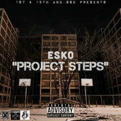 Esko - Project Steps