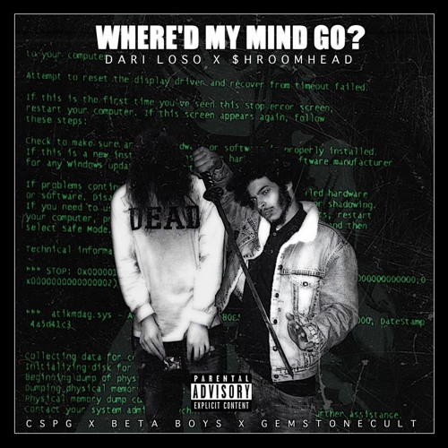 DARI LOSO x $HROOMHEAD - WHERE'D MY MIND GO?