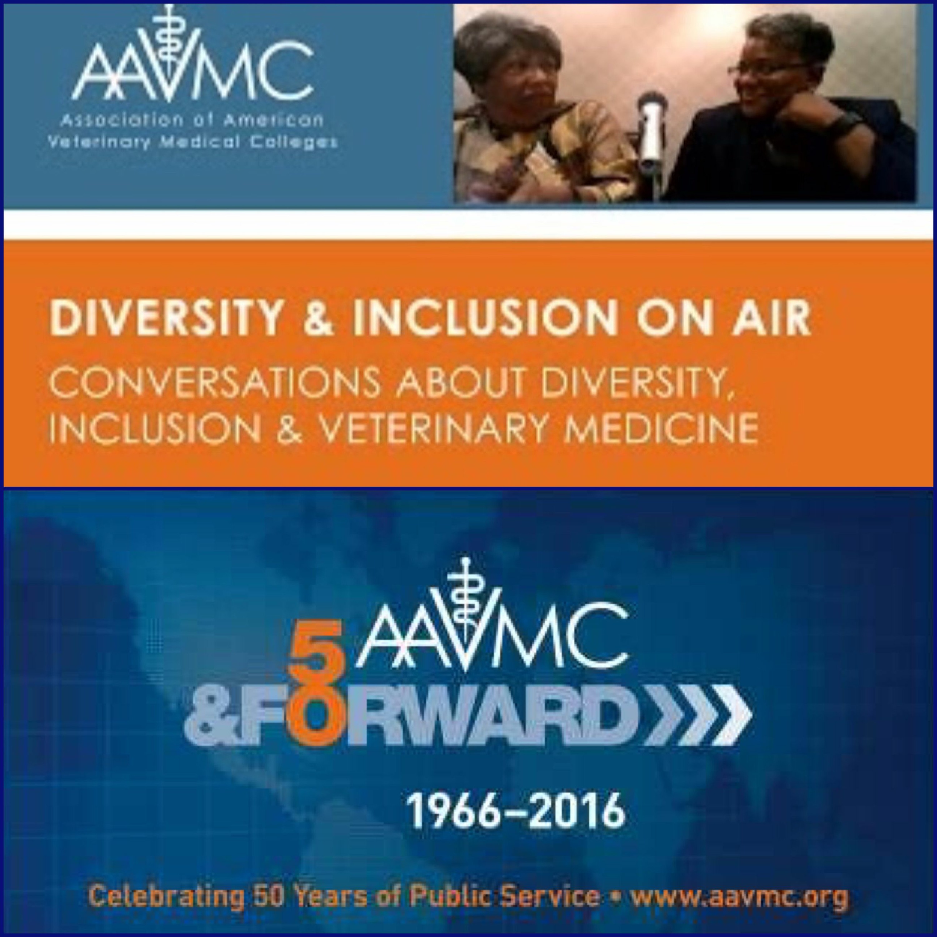 AAVMC\'s On Air: Conversations about Issues in Veterinary Medicine