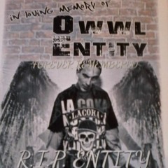 Rest In Peace - Owl Entity