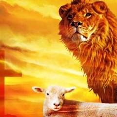 Lalibella Sound Live And Learn