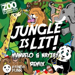 Zoofunktion Ft. IE - Z -It's Lit (Manuelo & NayJay Re-mix)[Free Download]