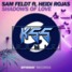 Shadows Of Love (ft. Heidi Rojas) [KoScoSe Remix]