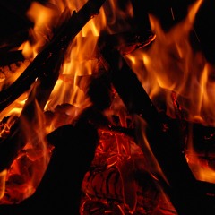 DALE FYAH GANJAH LION TIGER JAHGUAR