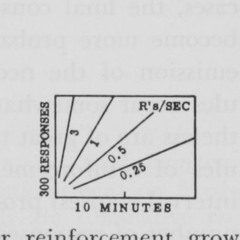 reinforcement (w/vocals)