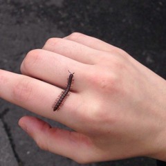 First Attempt At Rapping Ha.HA.hAhahA(had Lots Of Fun, Fuq You All)