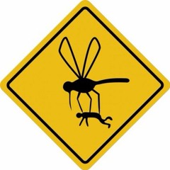 Most Dramatic Mosquito Death Ever Sound