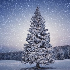 Silent Night -- my version