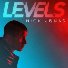 Nick Jonas - Levels (Real Official Instrumental)