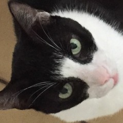 Immer schön schauen (dann machst Du es gut)