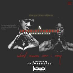 Spdubbbeats - Jayz X  Letta Mbulu Presentation (What more can I say)