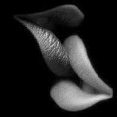 Abe.C.Nova & MoE - Temptation