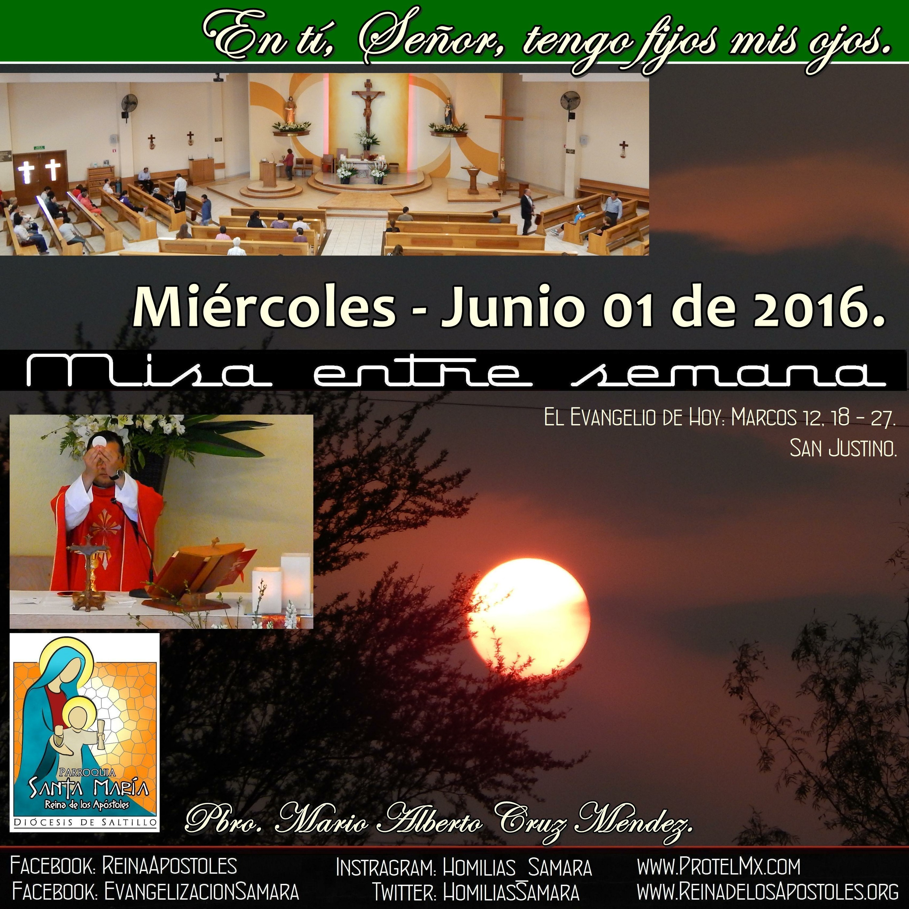 SAMARA_Saltillo #2019