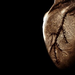 Eric Davies - Music Makes it Right