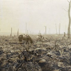 La mélancolie d'un champ de bataille