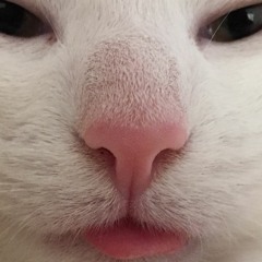 Slum Village: Lock It Down - Peter Clamat Reh Edit