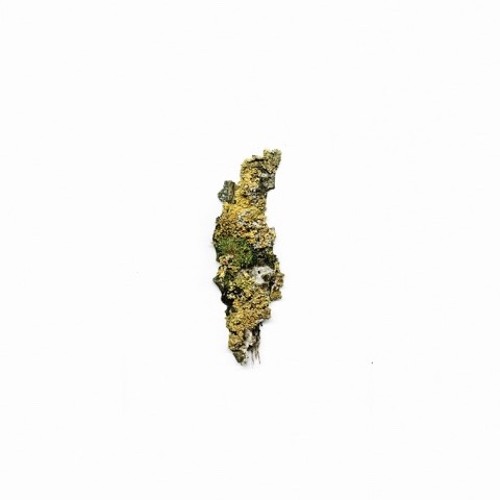 Scuba - Nesh (Plangent Records)