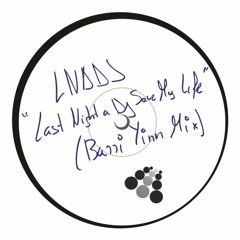 LNADJ - Last Night A Dj Saved my Life (Barri Yinn Mix)