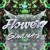 Artwork for Diviners ft. Dom Robinson - Flowers (Sowlmate Remix)