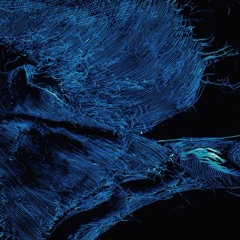 Climaxim 2016 Dubs & Co Minimix