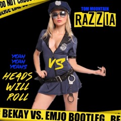 Yeah Yeah Yeahs vs. Tom Mountain - Razzia Will Roll (Bekay Vs. EmJo Bootleg)