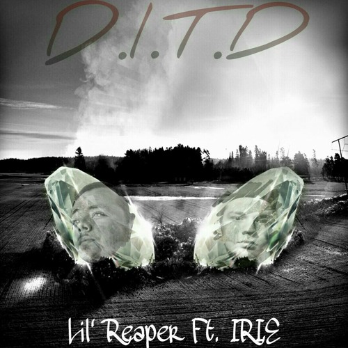 D.I.T.D